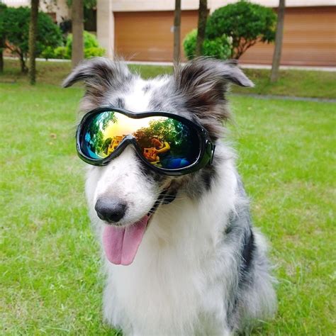 Haustierbrillen Großer Hund Sonnenbrille Skifahren Sonne UV