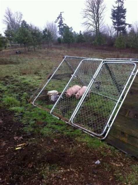 37 Best Pig Pens Images On Pinterest Farming Life Pig Shelter And