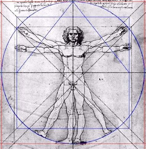 Qu Est Ce Que Le Nombre D Or Ou La Suite De Fibonacci Spiriteo