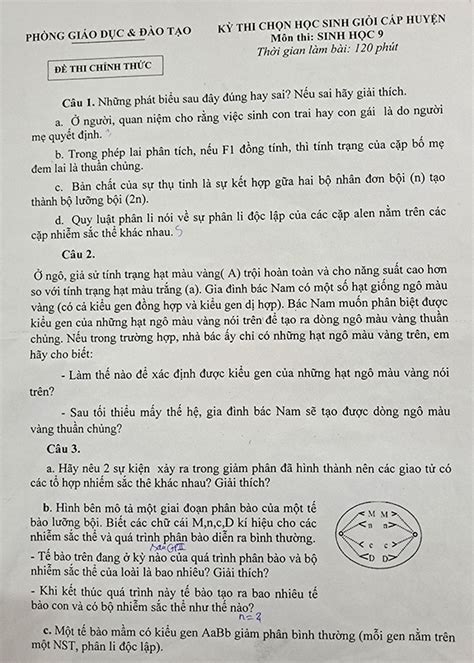 Đề Thi Học Sinh Giỏi Sinh Học 9 Hướng Dẫn Ôn Tập và Bộ Đề Thi Cập Nhật