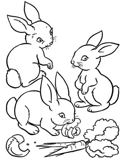 Baby Farm Animals Coloring Pages For Kids >> Disney Coloring Pages