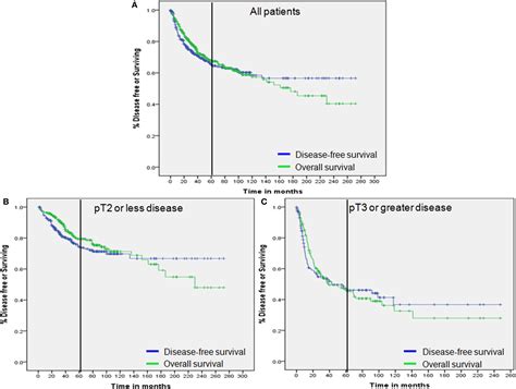 Frontiers Disease Free Survival At And Years Is A Significant