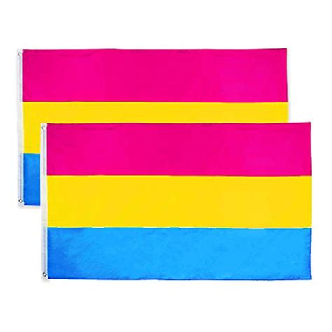 Flaglink Pansexual Flag 3x5fts Lgbt Pansexuality Omnisexuality Pride