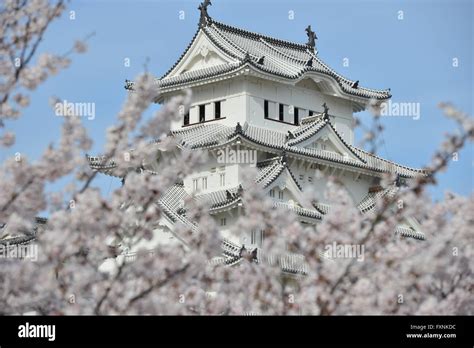 Himeji Jo Himeji Japan Stock Photo Alamy