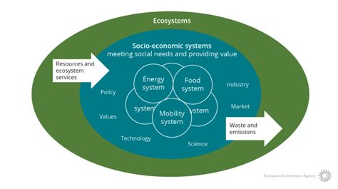 Ecosystems Underpin Socio Economic Systems Of Production And