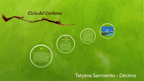 Ciclo Biogeoquimico Del Carbono By Tatyana Sarmiento