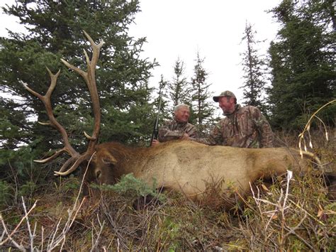 Great Elk hunting season | Big Nine Outfitters