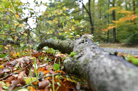 Sturm Ignatz Bilder zeigen Schäden im Saarland