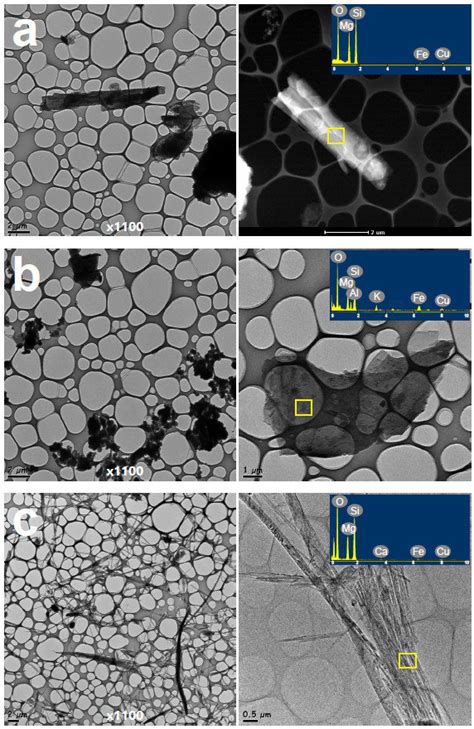 Representative Tem Micrographs Of Asbestos In A Sample With Acms