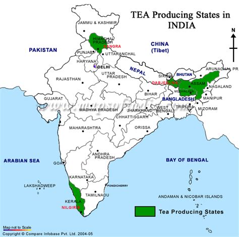 Tea Plantations In India Map - United States Map