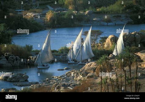 Egipto Asu N R O Nilo Feluchos Barcos Tradicionales Fotograf A De