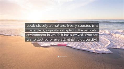 E O Wilson Quote Look Closely At Nature Every Species Is A