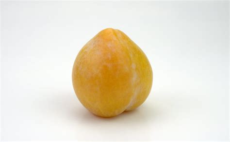 Free Yellow Plum Stock Photo