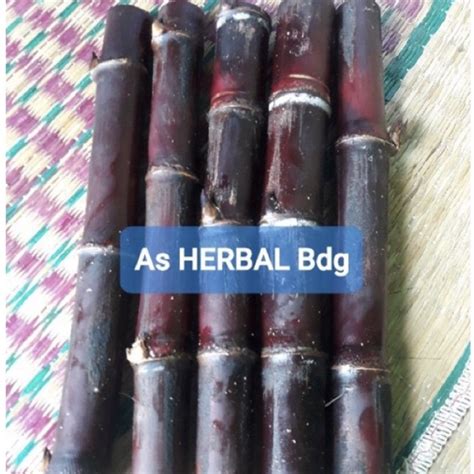 Jual Jual Batang Tebu Ireng Batang Tebu Hitam Per 8 Batang Super