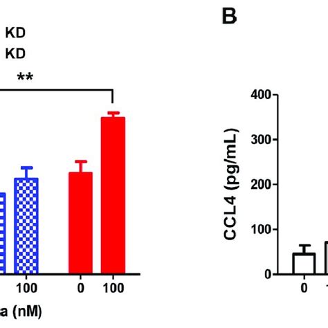 A Arrestin Causes Desensitization And Internalization Of C Ar