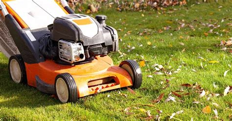 Best Time Of Day To Mow Your Lawn In Autumn To Keep It Looking Lush And