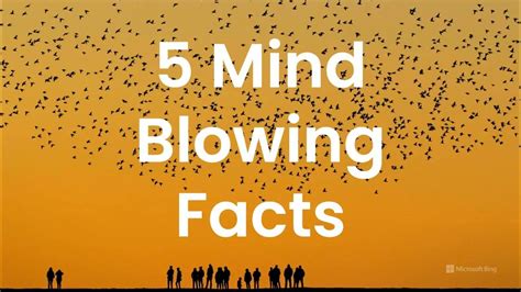 5 Mind Blowing Facts Youtube