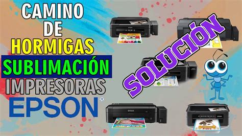 SOLUCIÓN CAMINO DE HORMIGAS EPSON SUBLIMACIÓN YouTube