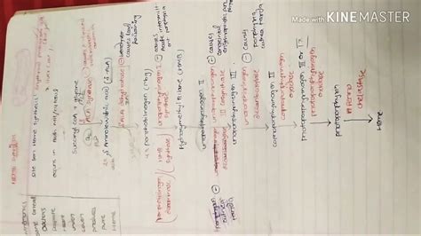 Heme Synthesis Made Easy With Mnemonics Youtube