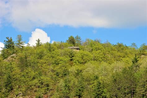 Bancroft council receives annual report from Stewards of Bancroft’s