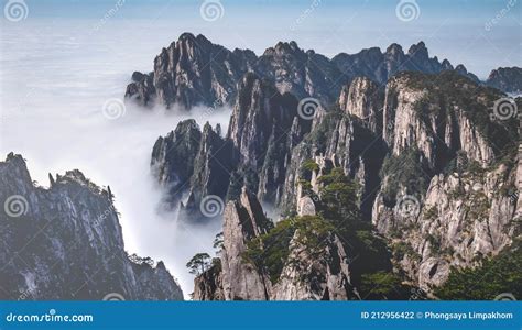 Vistas a Las Nubes Y Al Pinar En Los Picos Montañosos Del Parque