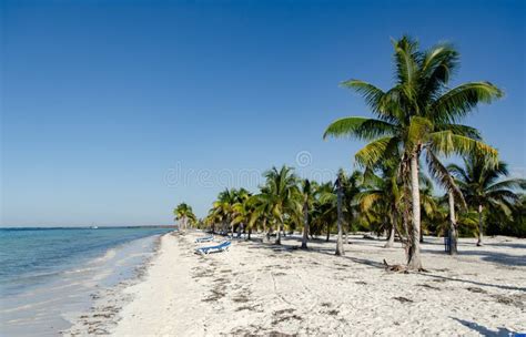 Playa Cayo Blanco Varadero Cuba Foto De Archivo Imagen De Costa