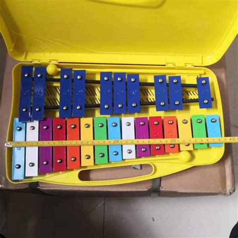 Глокеншпиль, 25 брусков, желтый футляр, Angel AG-25N3 купить на OZON по ...