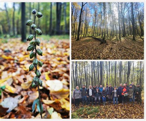 Kochanowice Powstanie Rezerwat Przyrody Takich Cud W Jeszcze Nie