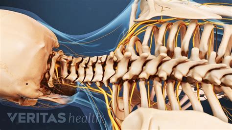 Back Pain And Sex Spine Health