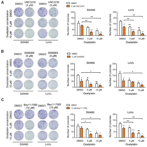 Targeting PIPKIγ exosomal PD L1 axis reverses oxaliplatin resistance in