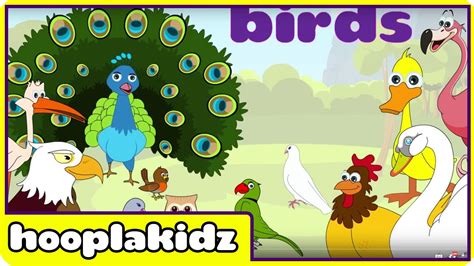 Preschool Activity Learn About Birds Hooplakidz Youtube