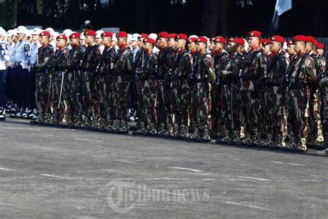 Panglima Tni Pimpin Upacara Opsgaktib Dan Yustisi Foto