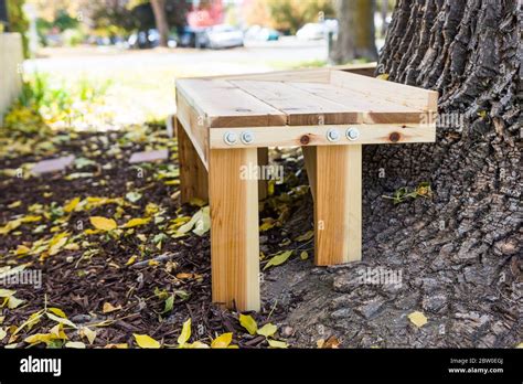 Cedar Wood Circular Tree Bench Outdoor Woodwork Project Stock Photo
