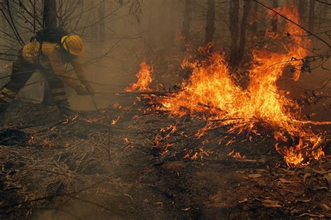 Incendios Forestales En Chile No Ceden Y Dejan Ya 22 Muertos Diario El Salvador