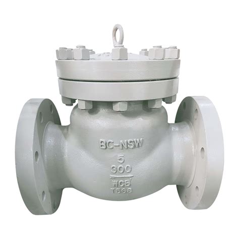 China Chinese Wholesale Wafer Check Valve Bs 1868 Swing Check Valve Newsway Manufacturers