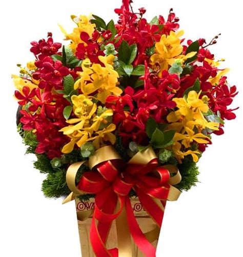 Tet Flowers Vietnam - Flowers for Tet festival Viet Nam