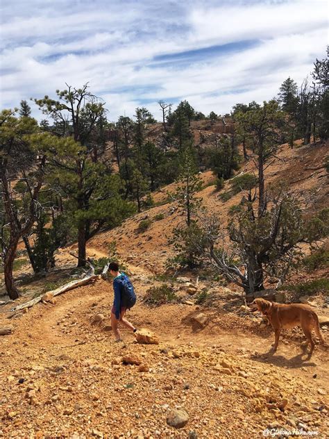 Hiking The Cassidy Trail In Red Canyon Girl On A Hike