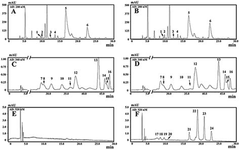 Hplc Chromatogram Of Flavonoids In Wild Type Tea Plants And Red Leaf