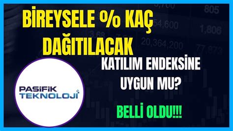 PASİFİK TEKNOLOJİ BİREYSELE NE KADAR LOT DAĞITACAK BELLİ OLDU KATILIM