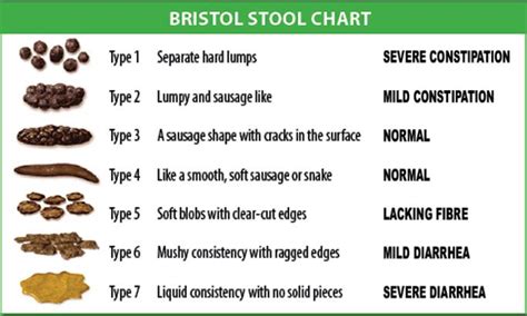 Cat Poop Chart - The Cat Feces Score Chart For State of Health | The ...