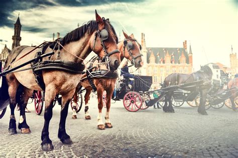 Horse Drawn Carriages On The Old Market Square Bruges Belgium Stock