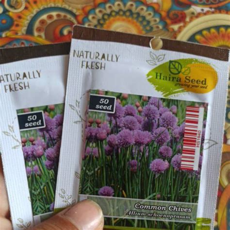 Jual Benih Bibit Daun Bawang Atau Bawang Batak Shopee Indonesia