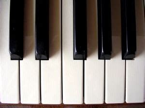 The Collaborative Piano Blog Career Options In Collaborative Piano