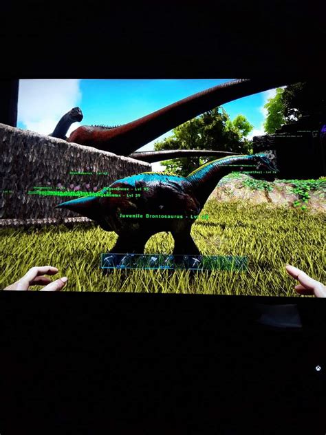 The Babys Ark Survival Evolved Amino