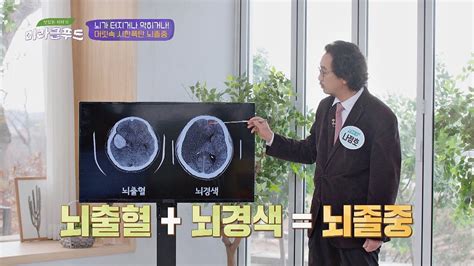 뇌졸중에 대한 모든 것 뇌출혈과 뇌경색을 통틀어 말하는 뇌졸중 맛있는 이야기 미라클 푸드 Miracle Food 89