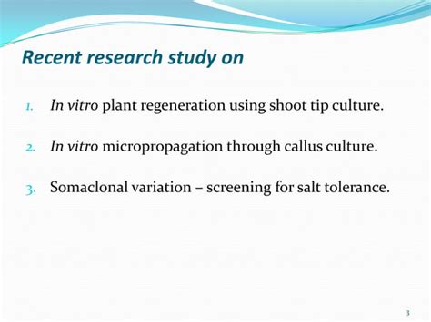 Case Study Report On Sugarcane PPT