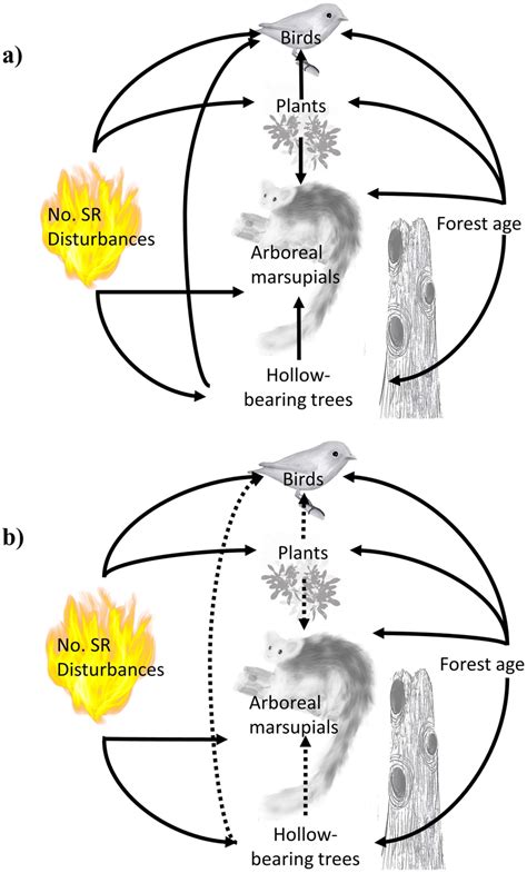 Causal Paths Investigated Using Structural Equation Modeling SEM A