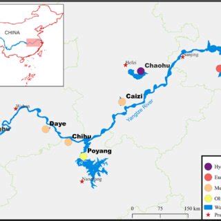 Sampling Sites In Different Trophic State Lakes Along The Yangtze River