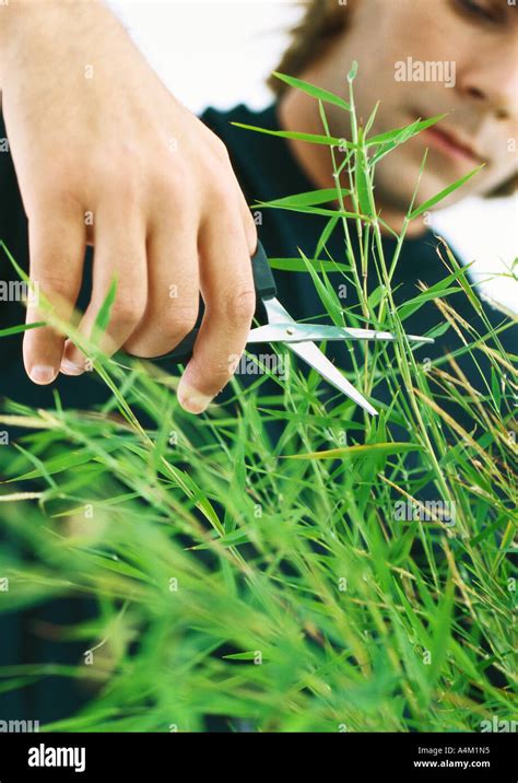 Man Cutting Long Grass With Scissors Stock Photo Alamy