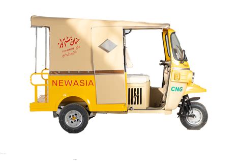 3 Wheelers New Asia Automobile